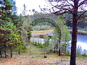 Pend Orielle National Refuse