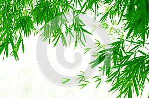 Pendant bamboo leaves background