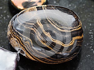 Pendant from Stromatolite gemstone on dark photo