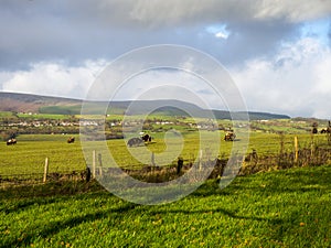 Pendle Hill in Lancashire in Winter is a wild and dangerous place