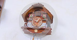 Pendulum starts working on vintage authentic wooden cuckoo clock with automated cuckoo bird that have to move with each