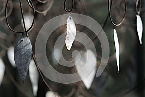 Pendulums from a chandelier