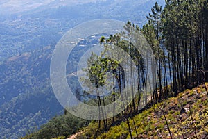 Peneda geres national park portugal photo