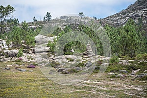 Peneda geres national park viana do castelo braga northern