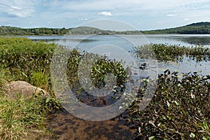 Penfold Lake in Bracebridge Muskoka in summer