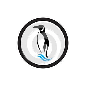 penguin