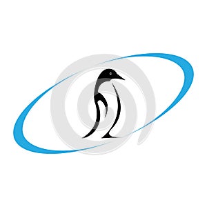 penguin