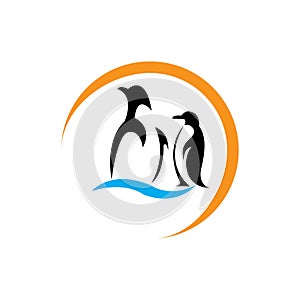 penguin