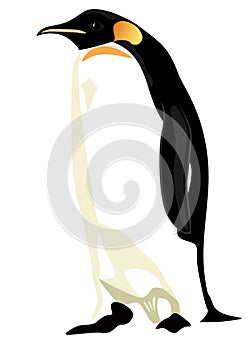 Tučňák 