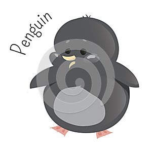 Penguin .