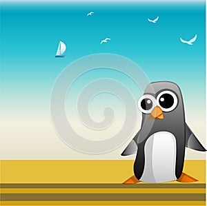Penguin beach background
