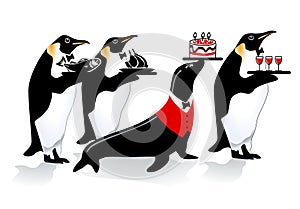 Penguin birthday