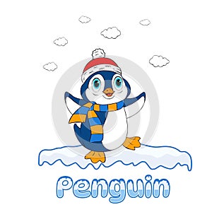 Penguin Cartoon Spheniscidae photo