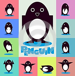 Penguin character on a color background