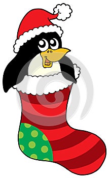 Penguin in Christmas sock