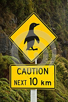 Penguin Crossing