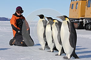 Penguin encounter in Antarctica