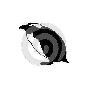 penguin EPS vector file format