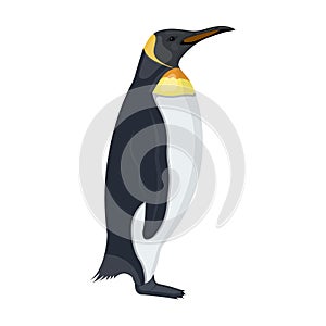 Penguin, flightless sea bird. The Imperial Penguin single icon in cartoon style vector symbol stock illustration web.