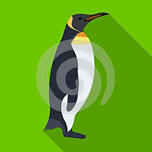 Penguin, flightless sea bird. The Imperial Penguin single icon in flat style vector symbol stock illustration web.