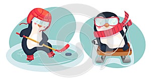 penguin hockey player and penguin on sled