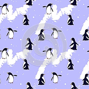 Penguin on the ice, winter pattern