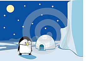 Penguin on the icefield