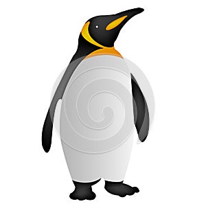 Penguin icon, penguin icon penguin vector