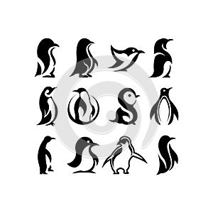 Penguin icon. Penguin symbol design from Animals collection