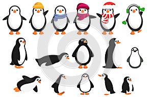 Penguin icons set, cartoon style