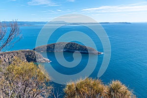 Penguin island at Bruny island in Tasmania, Australia