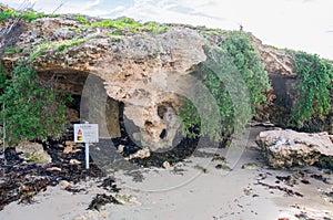 Penguin Island Limestone Caves