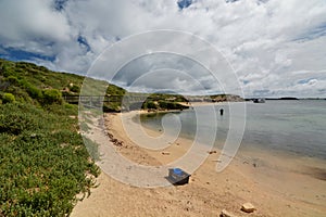 Penguin island. Shoalwater islands marine park. Rockingham. Western Australia