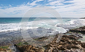 Penguin Island: Turquoise Seascape