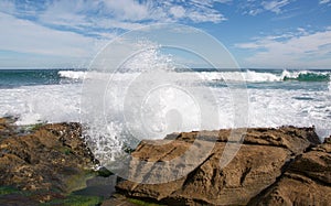 Penguin Island Wave Spray