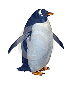 Penguin Isolated