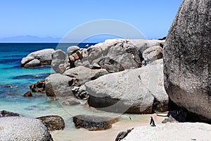 Penguin leisurely strolling on the shoreline of the ocean with a rocky formations