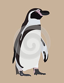 Penguin Logo graphic