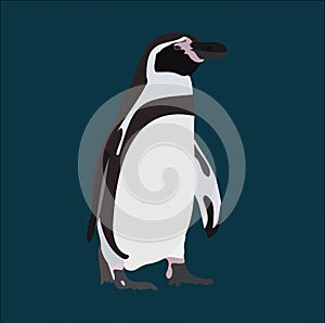 Penguin Logo graphic