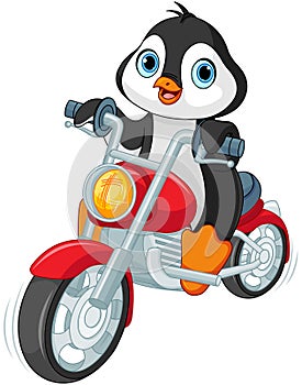 Penguin Motorcyclist photo