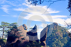 Penguin-Mount Sanqingshan