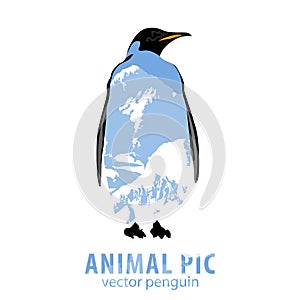 Penguin and mountains