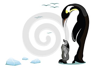 Penguin and offspring