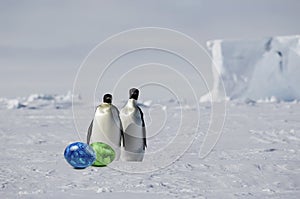 Penguin pair with easter eggs