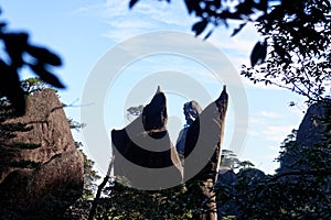 Penguin peak-Mount Sanqingshan