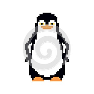 Penguin pixel art. pixelated  flightless seabird. 8 bit vector illustration