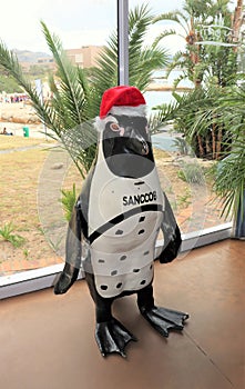 Penguin with Santa Hat