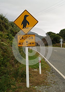 Penguin sign