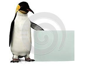 Penguin with sign