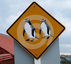 Penguin sign